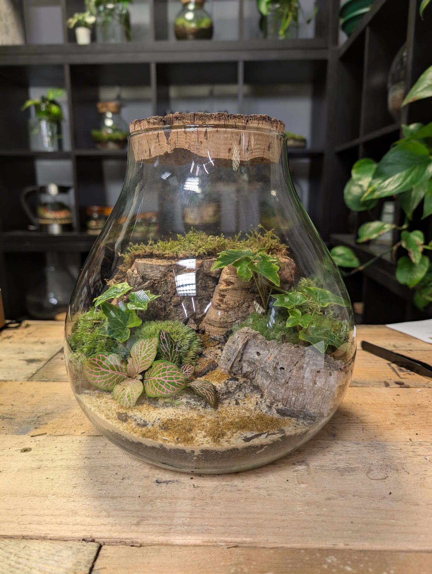 Ready-made Terrarium - 'Delilah'