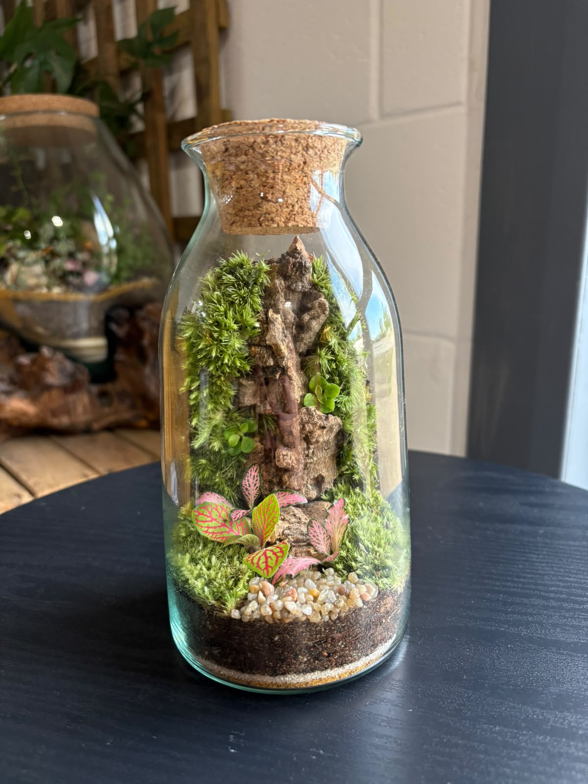 Ready-made Terrarium – Chloe Jar