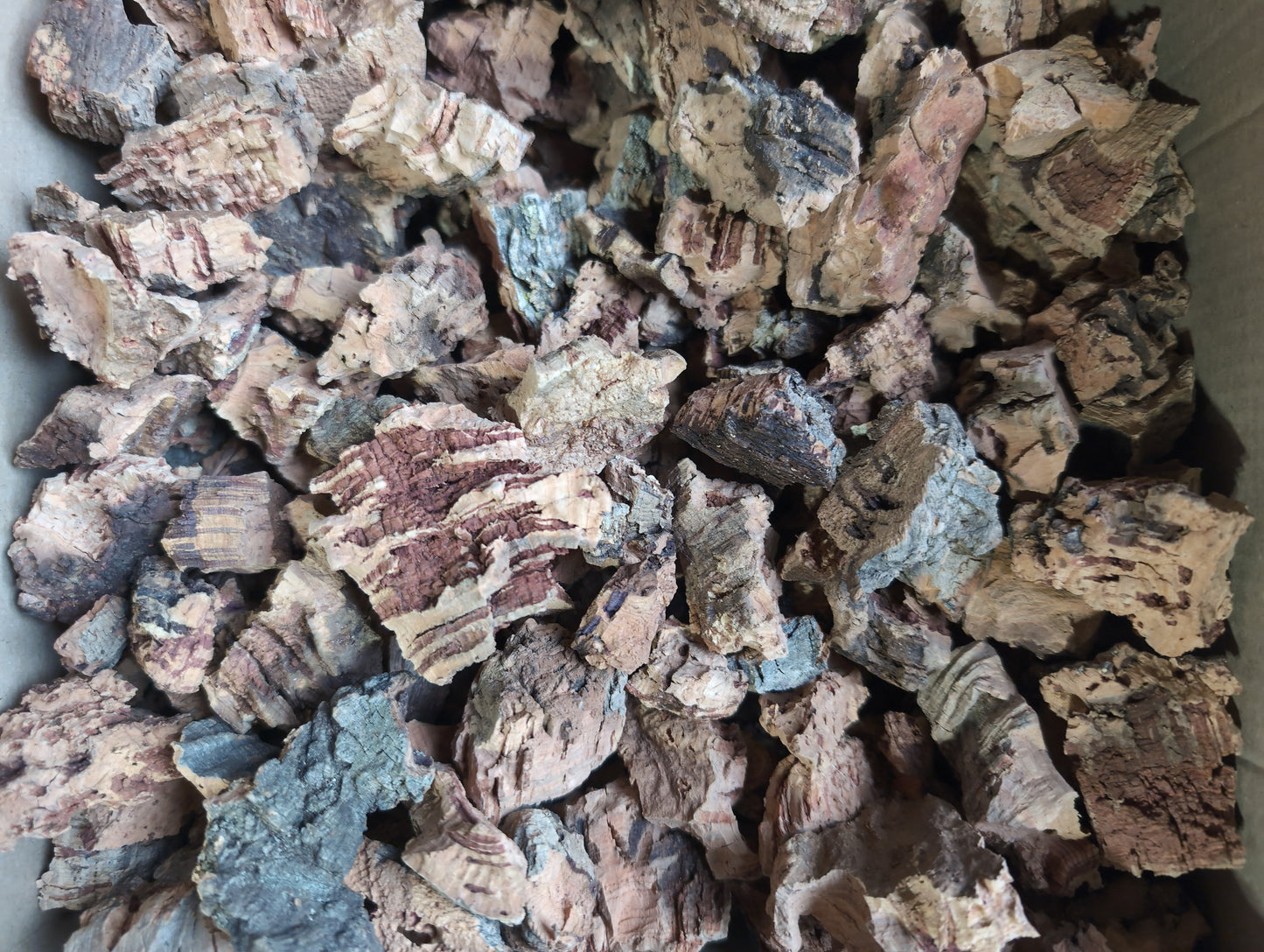 Cork Bark Pieces