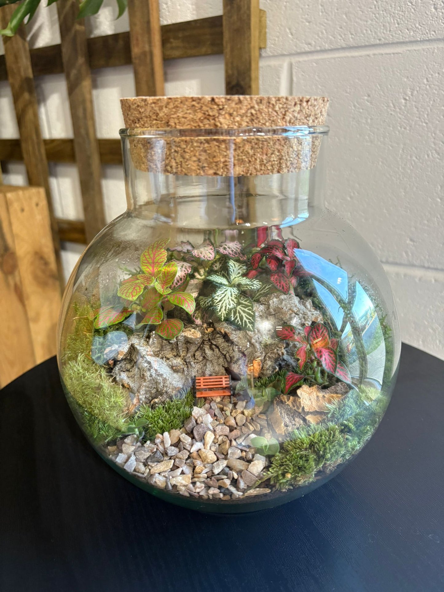 Ready-made Terrarium – George Jar