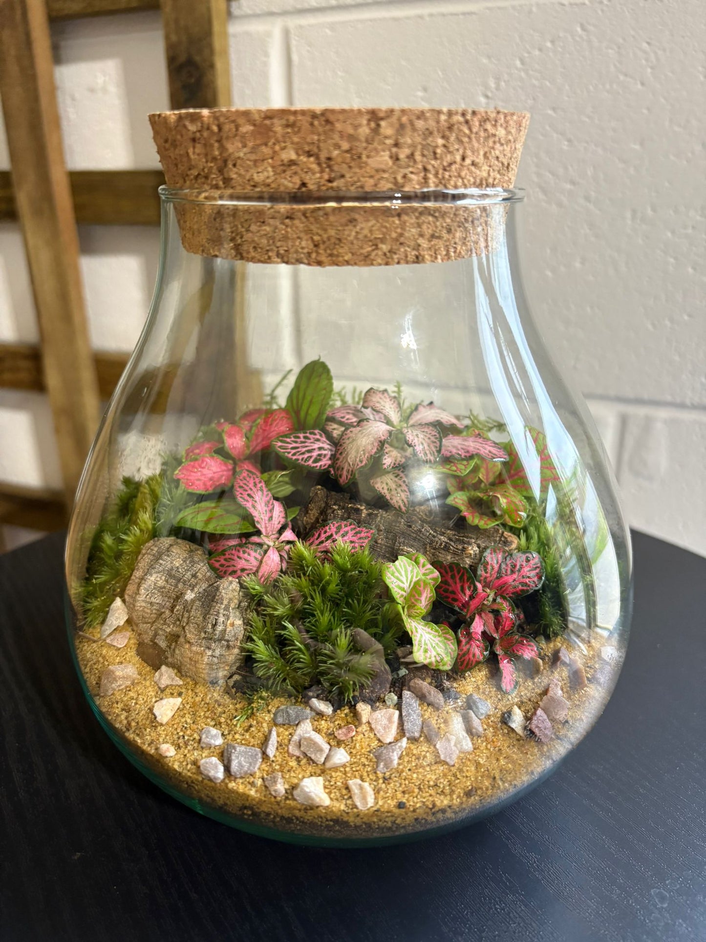 Ready-made Terrarium – Fran Jar