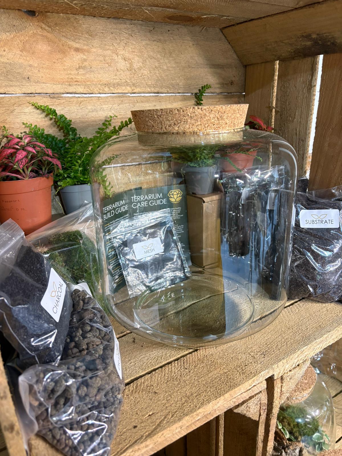 DIY Terrarium Kit - 'Meg'