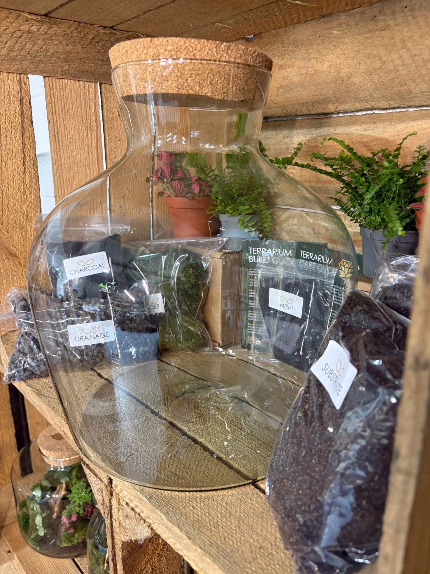 DIY Terrarium Kit - 'Matthew'