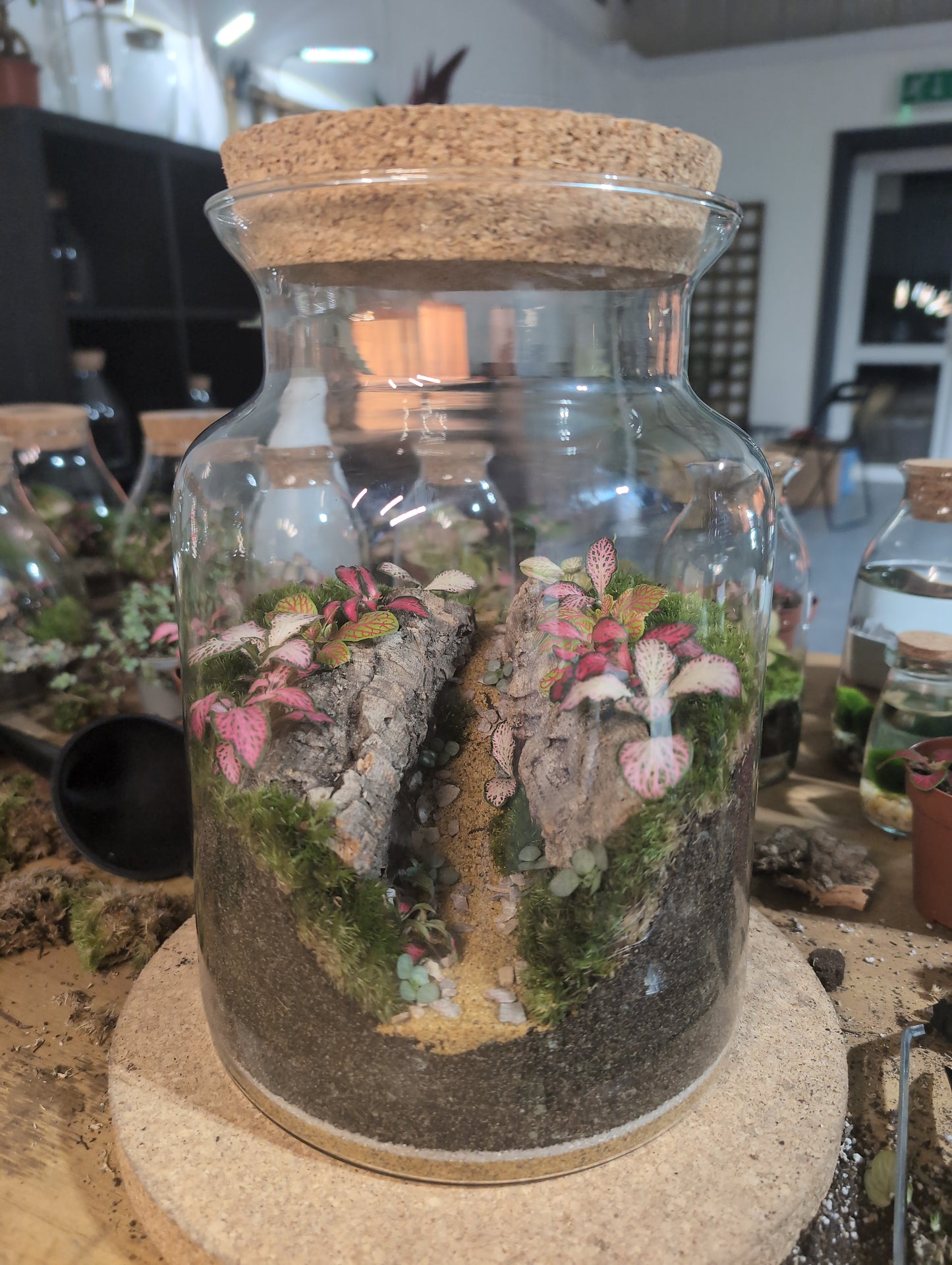 Ready-made Terrarium – Unique Jar