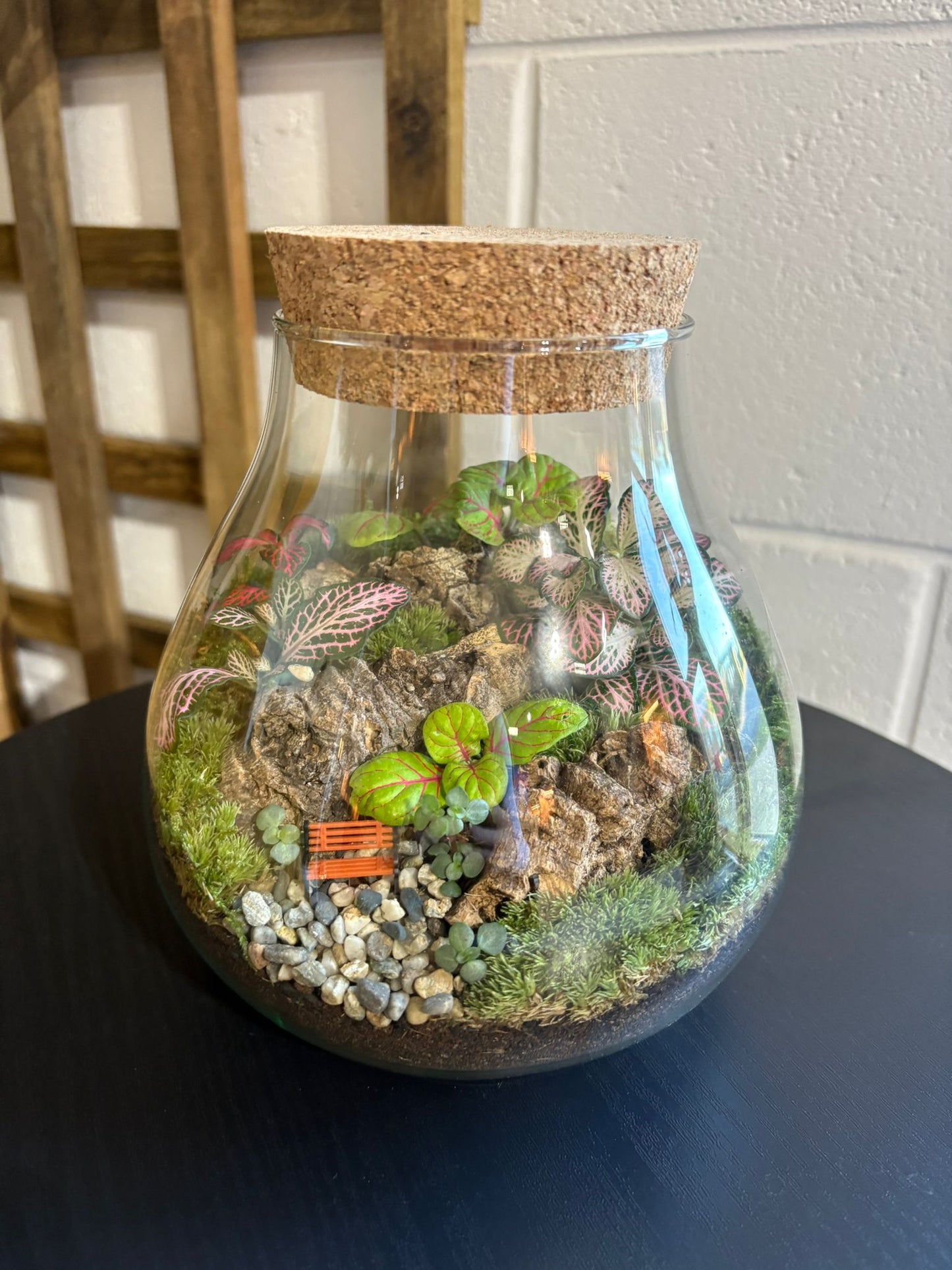 Ready-made Terrarium – Fran Jar