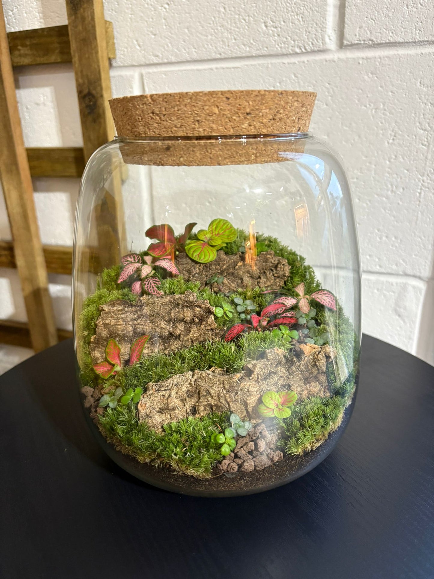 Ready-made Terrarium – Anna Jar