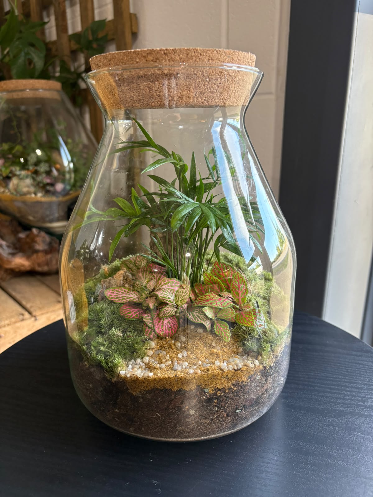 Ready-made Terrarium – Jamie Jar