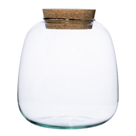 PREORDER - Ready-made Terrarium