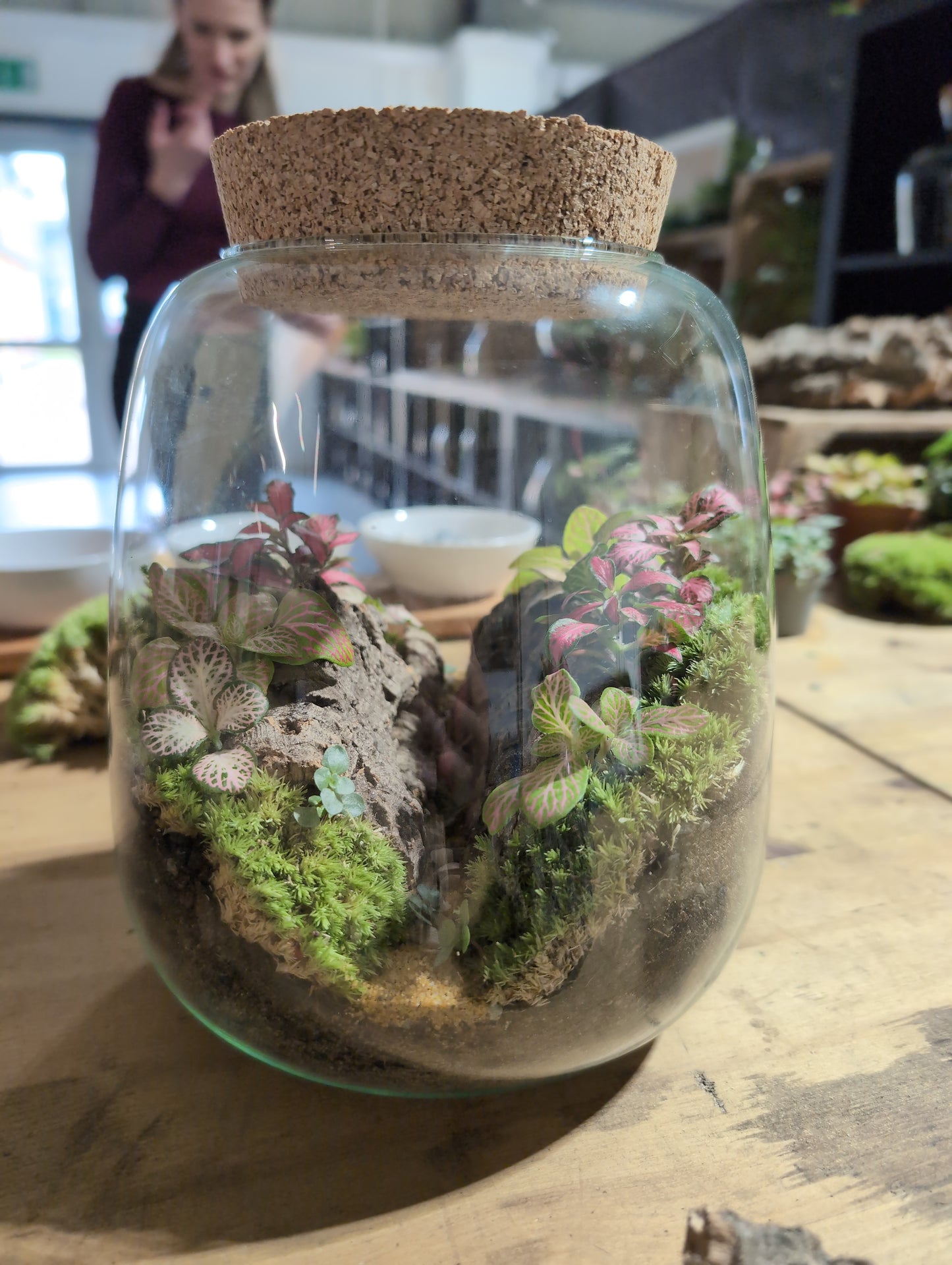 Ready-made Terrarium – Anna Jar
