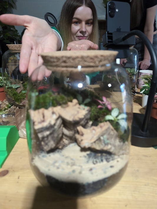 Ready-made Terrarium - 'Andy'