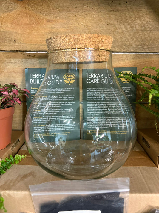 DIY Terrarium Kit - 'Fran'