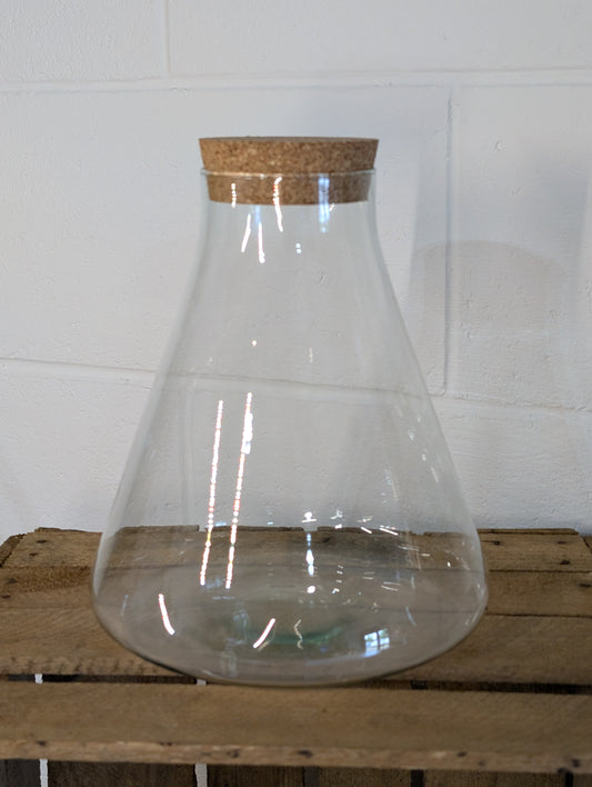 DIY Terrarium Kit - 'Verity'