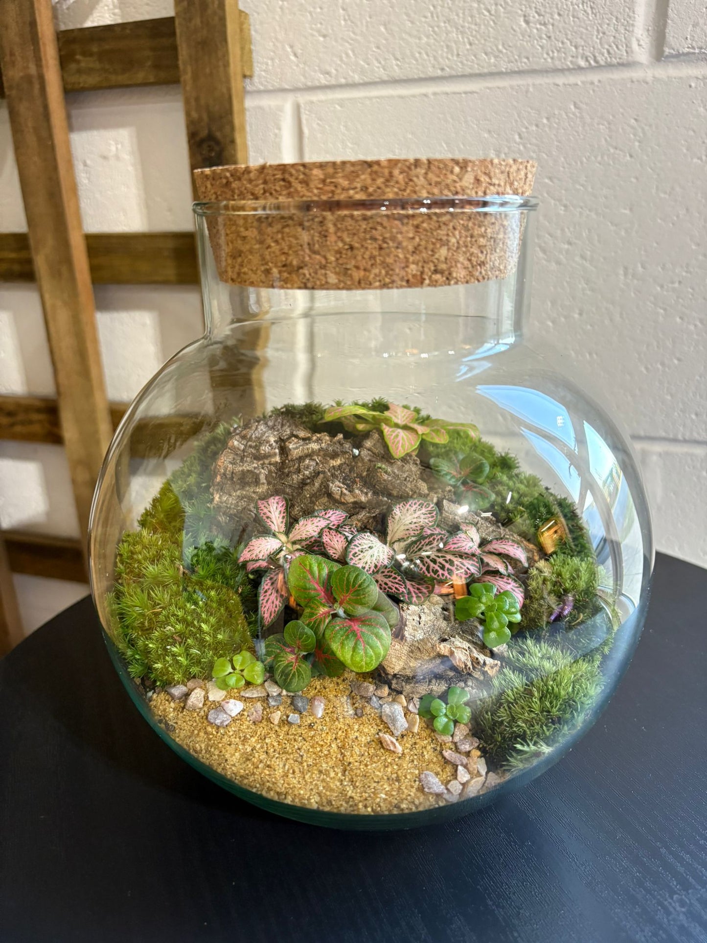 Ready-made Terrarium – George Jar