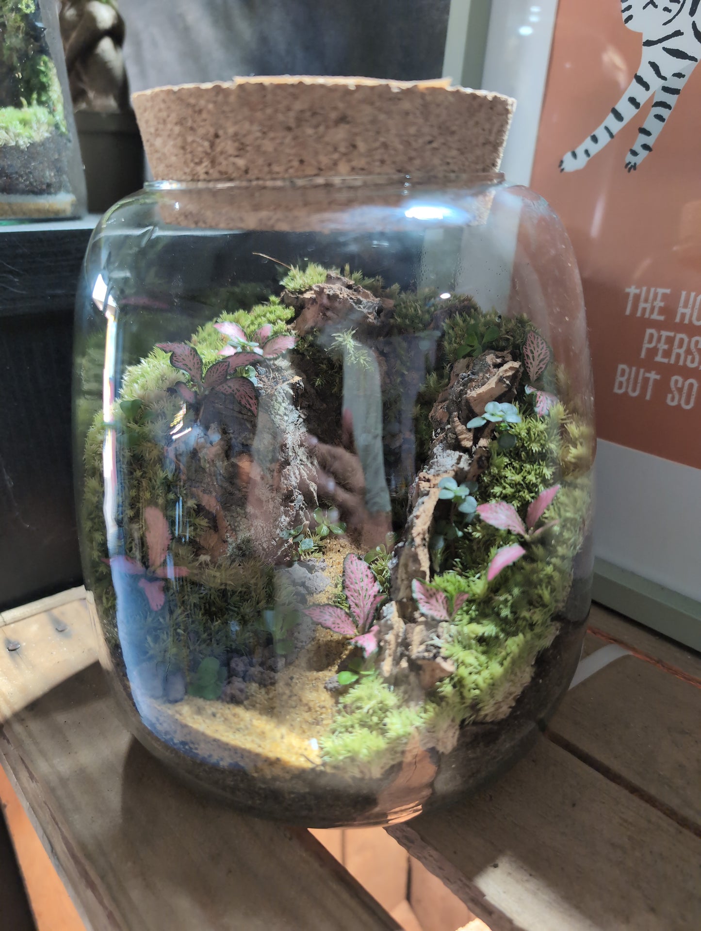 Ready-made Terrarium – Anna Jar