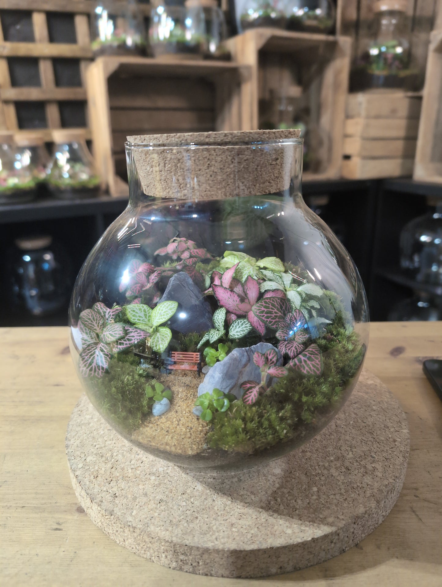 Ready-made Terrarium – George Jar