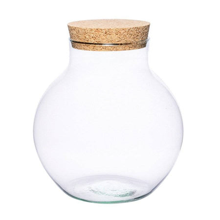 PREORDER - Ready-made Terrarium