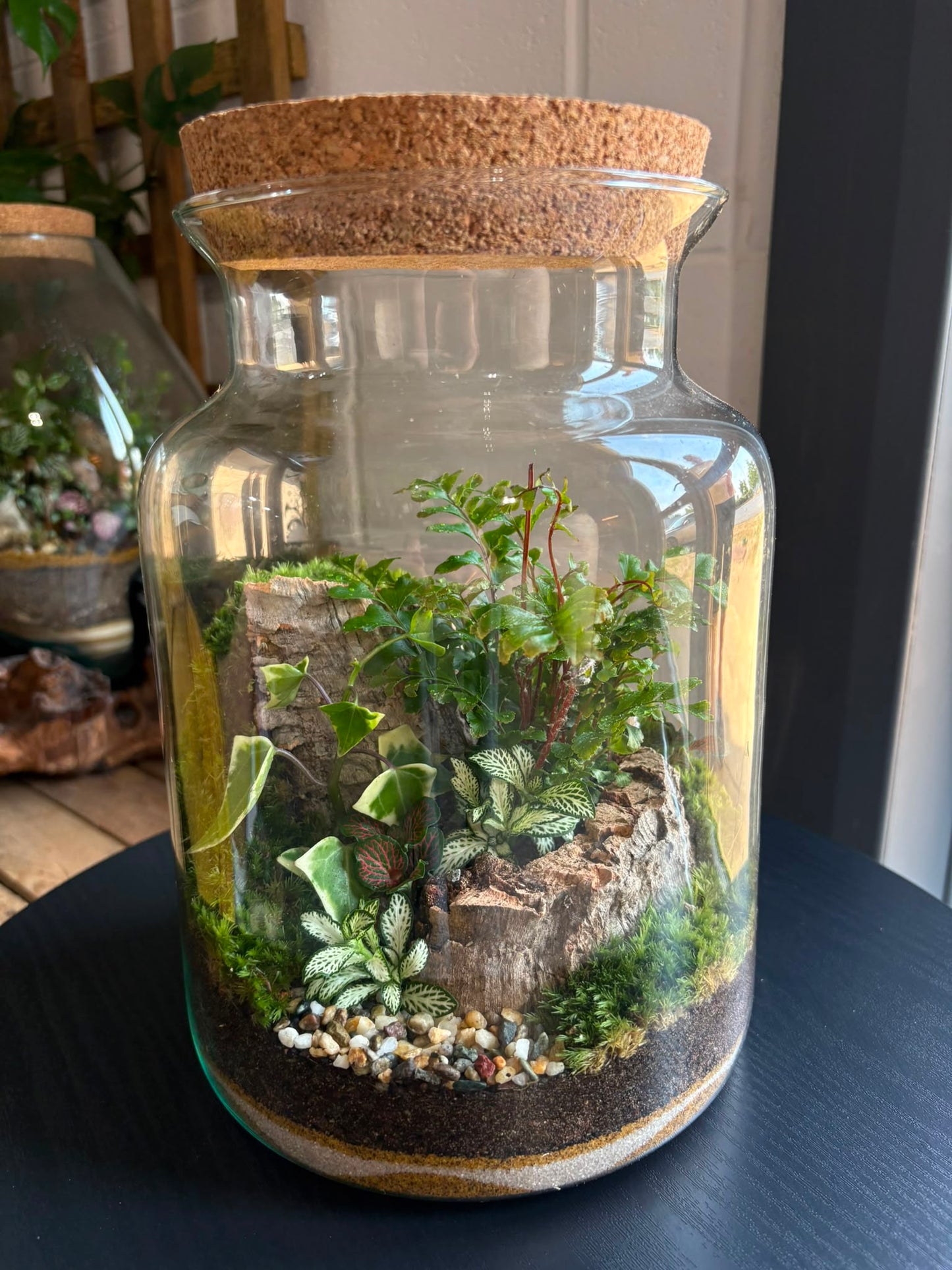 Ready-made Terrarium – Neev Jar