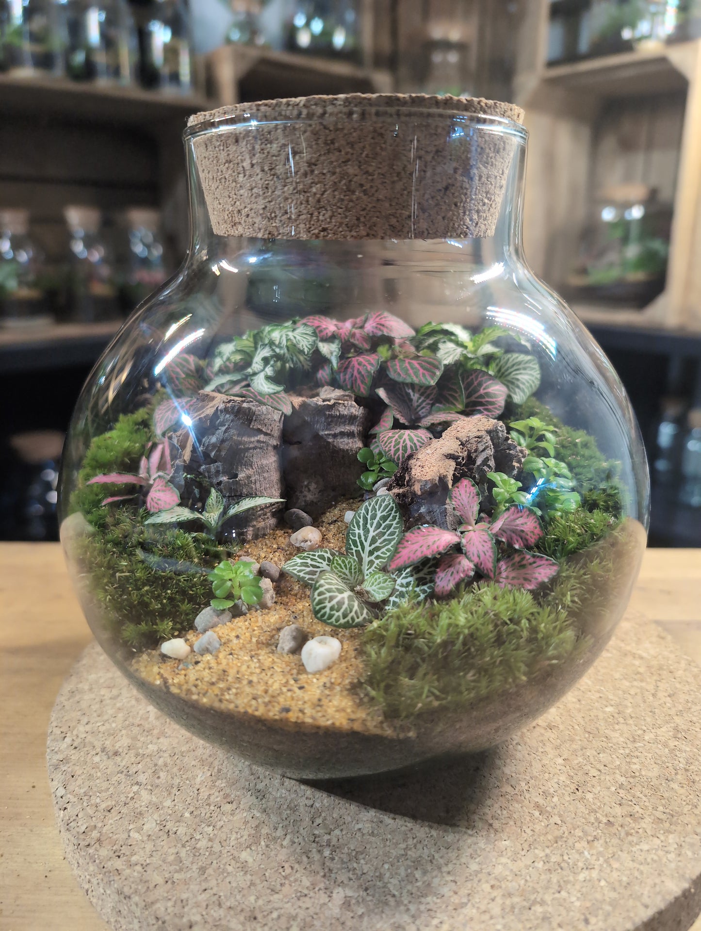 Ready-made Terrarium – George Jar
