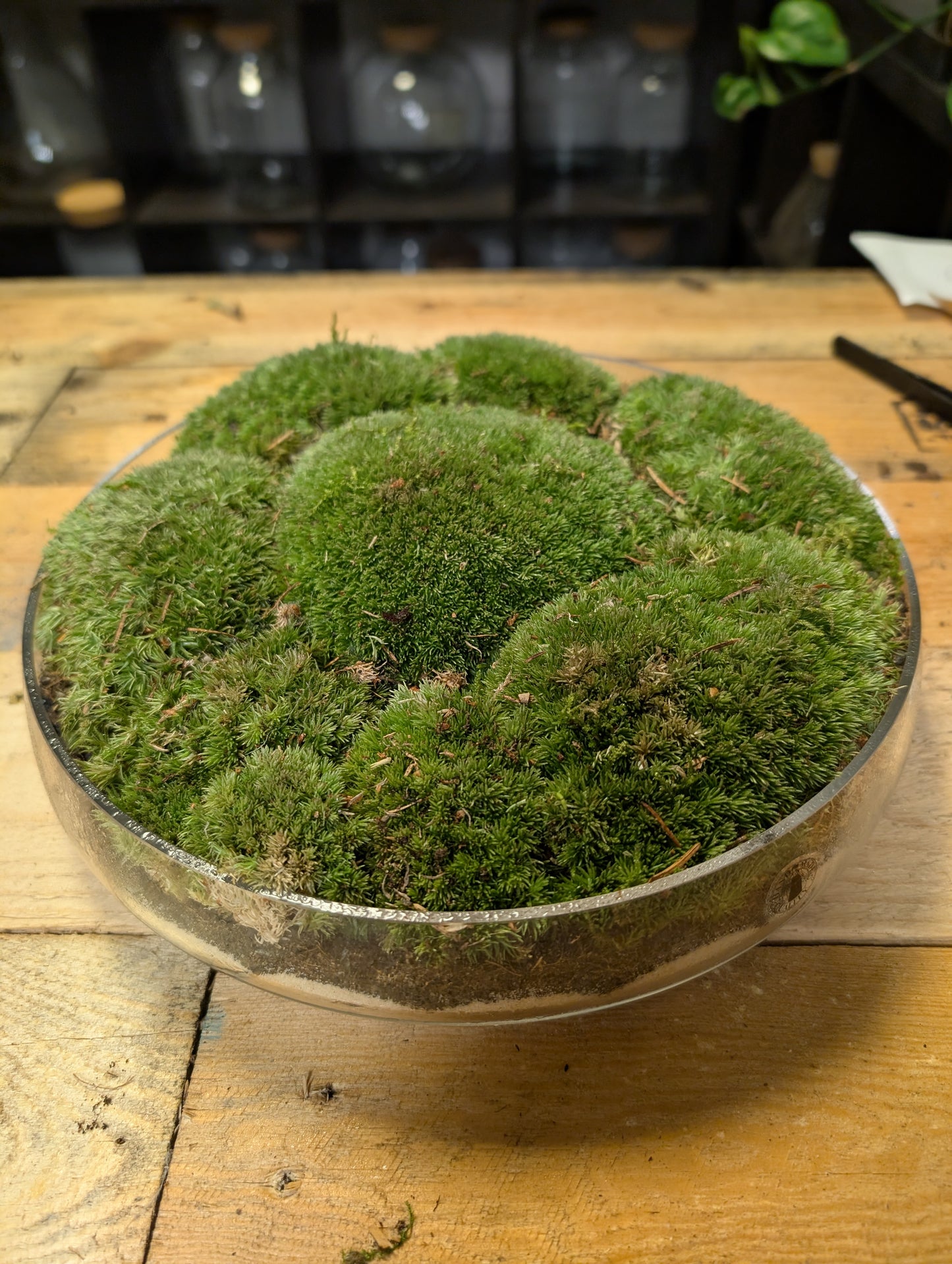 Ready-made Moss Bowl - 'Matthew'