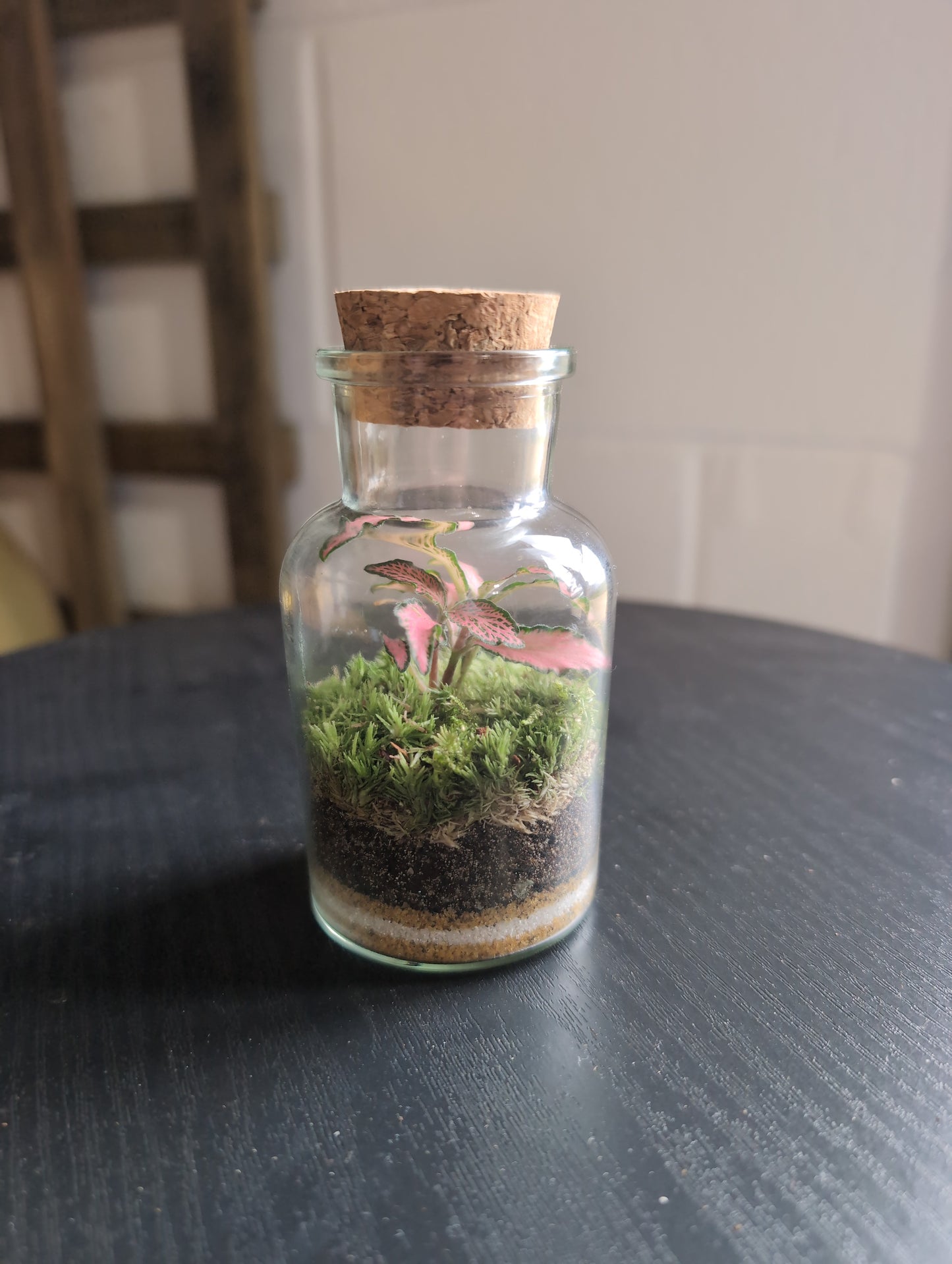 Ready-made Terrarium - Tiny