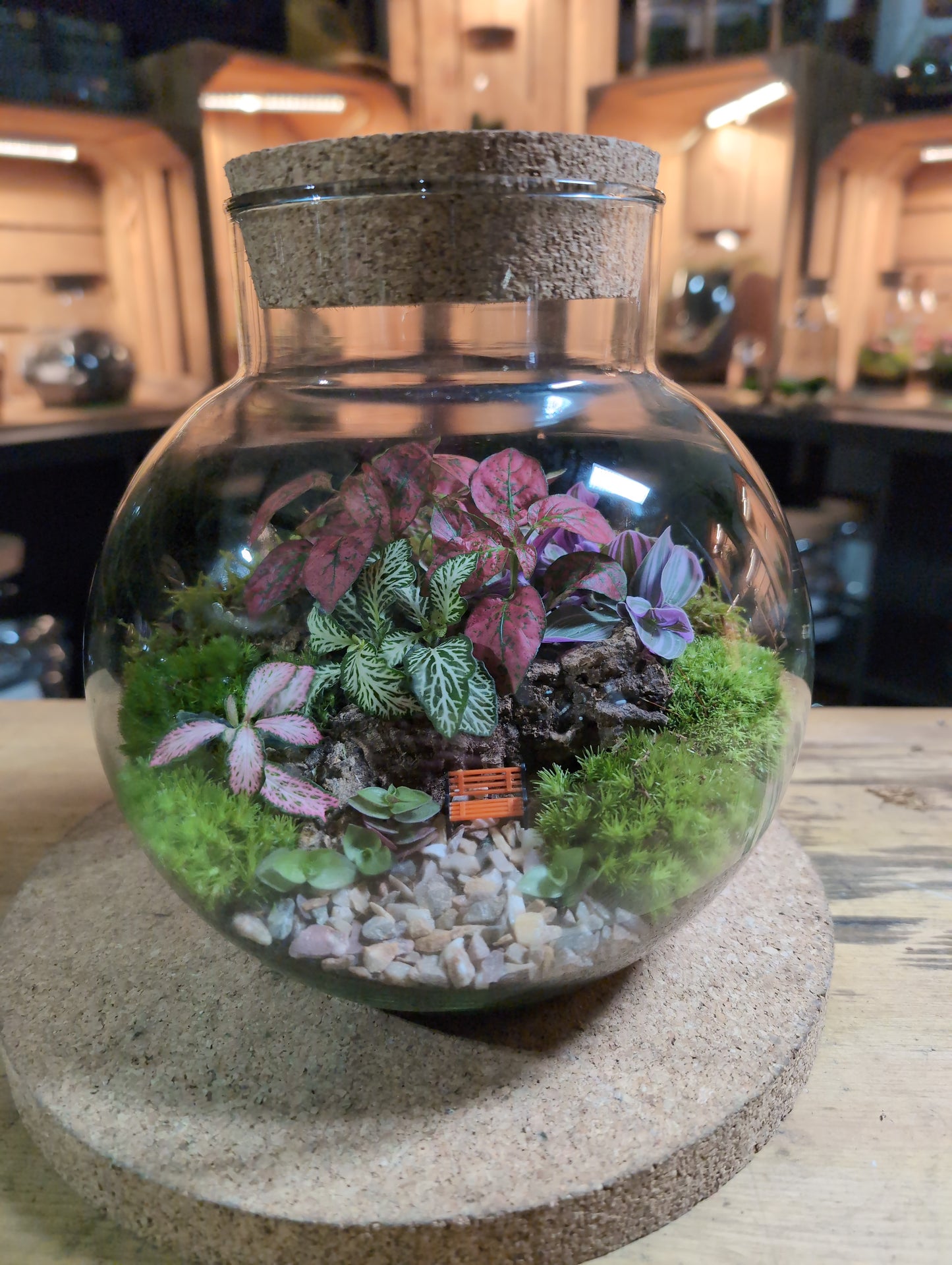 Ready-made Terrarium – George Jar