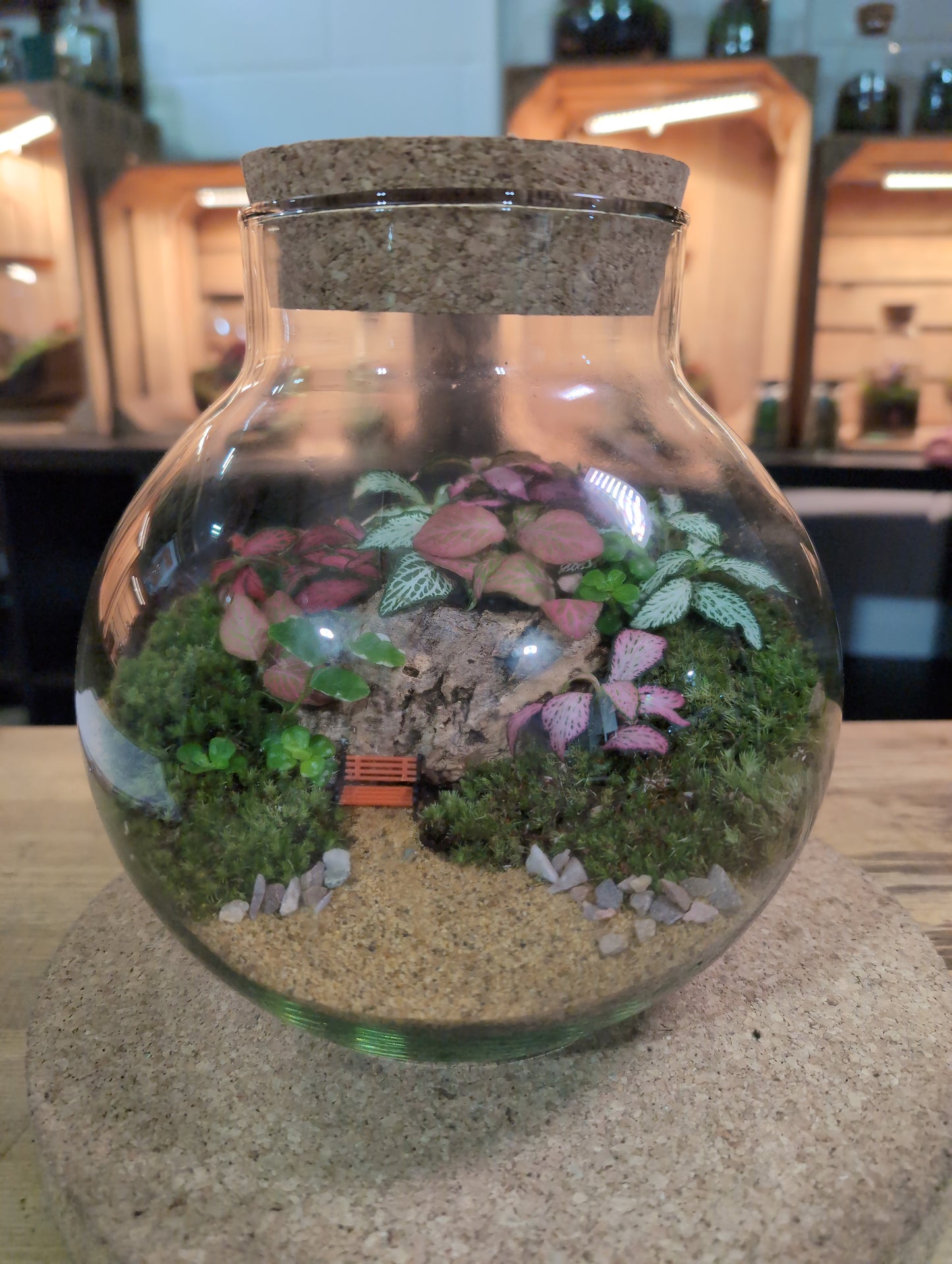 Ready-made Terrarium – George Jar