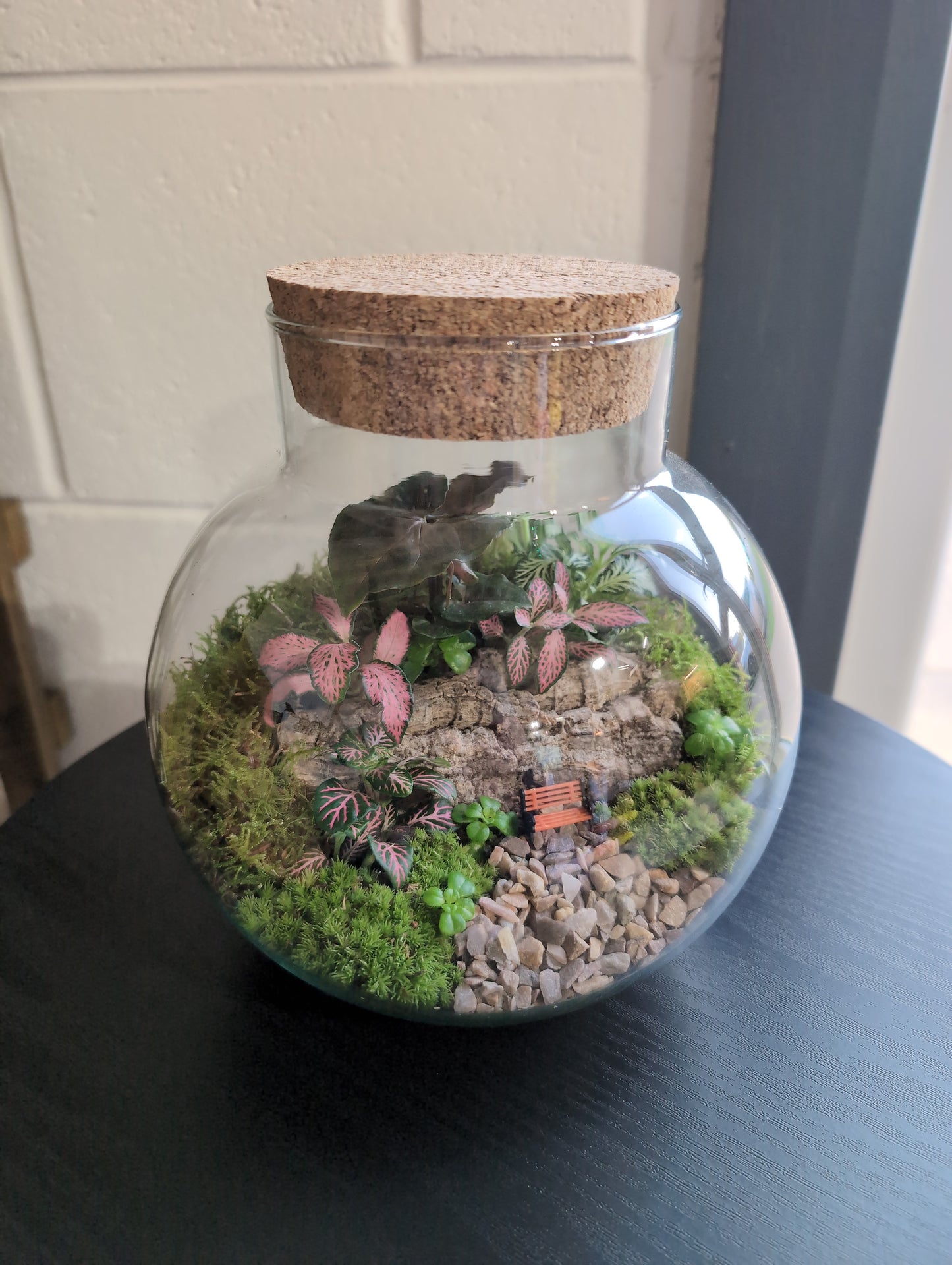 Ready-made Terrarium – George Jar