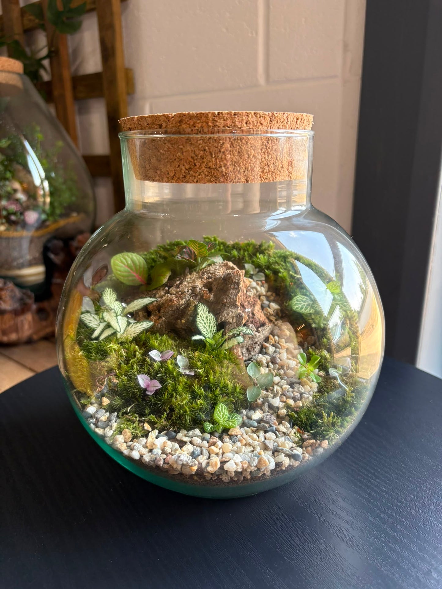 Ready-made Terrarium – George Jar