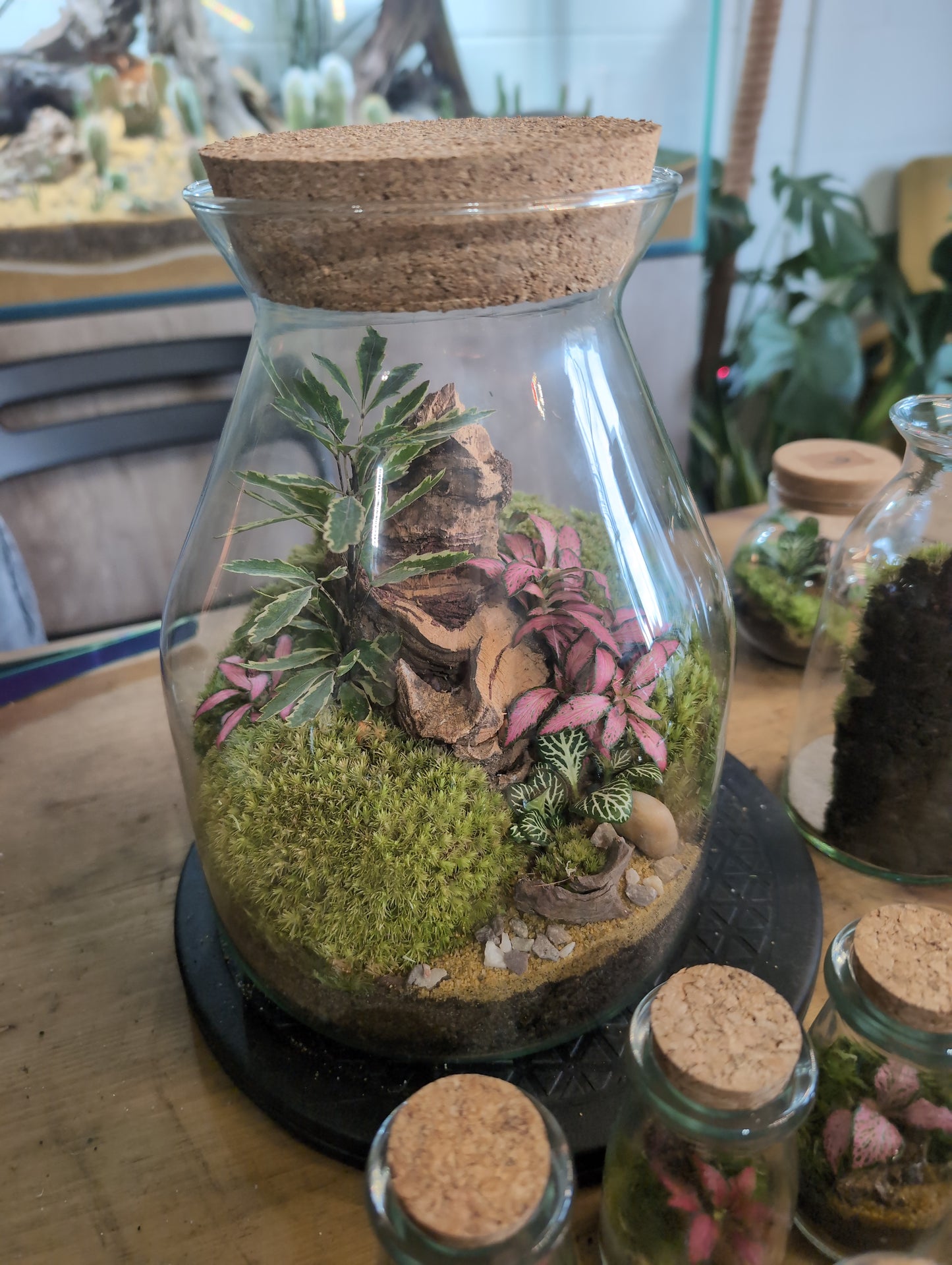 Ready-made Terrarium – Jamie Jar
