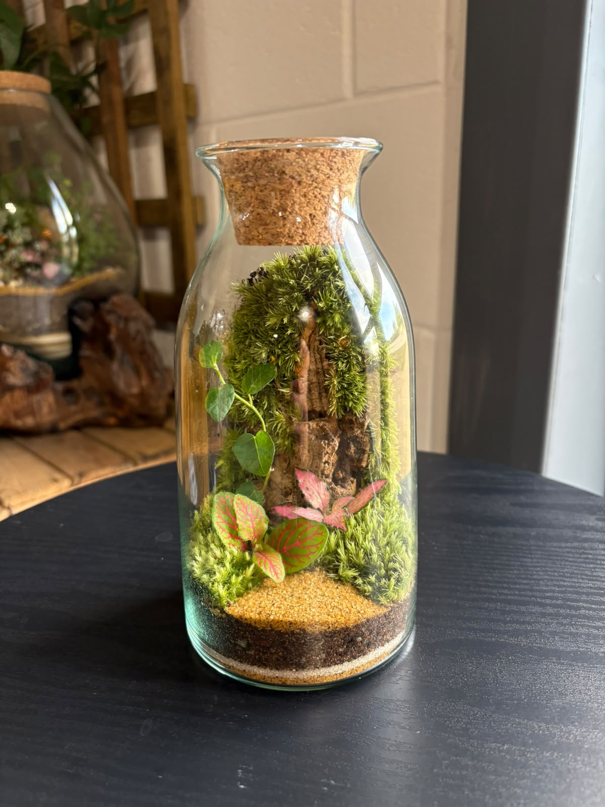 Ready-made Terrarium – Chloe Jar