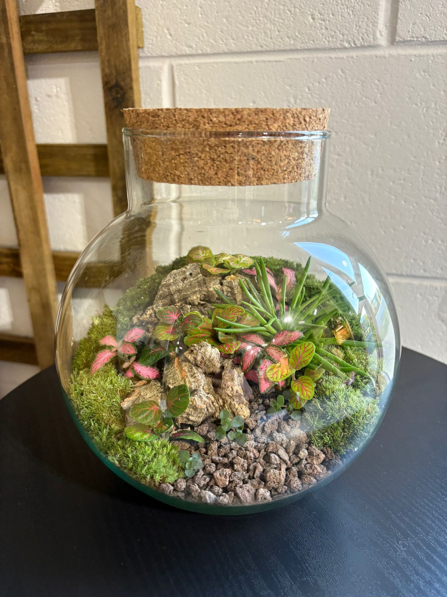 Ready-made Terrarium – George Jar