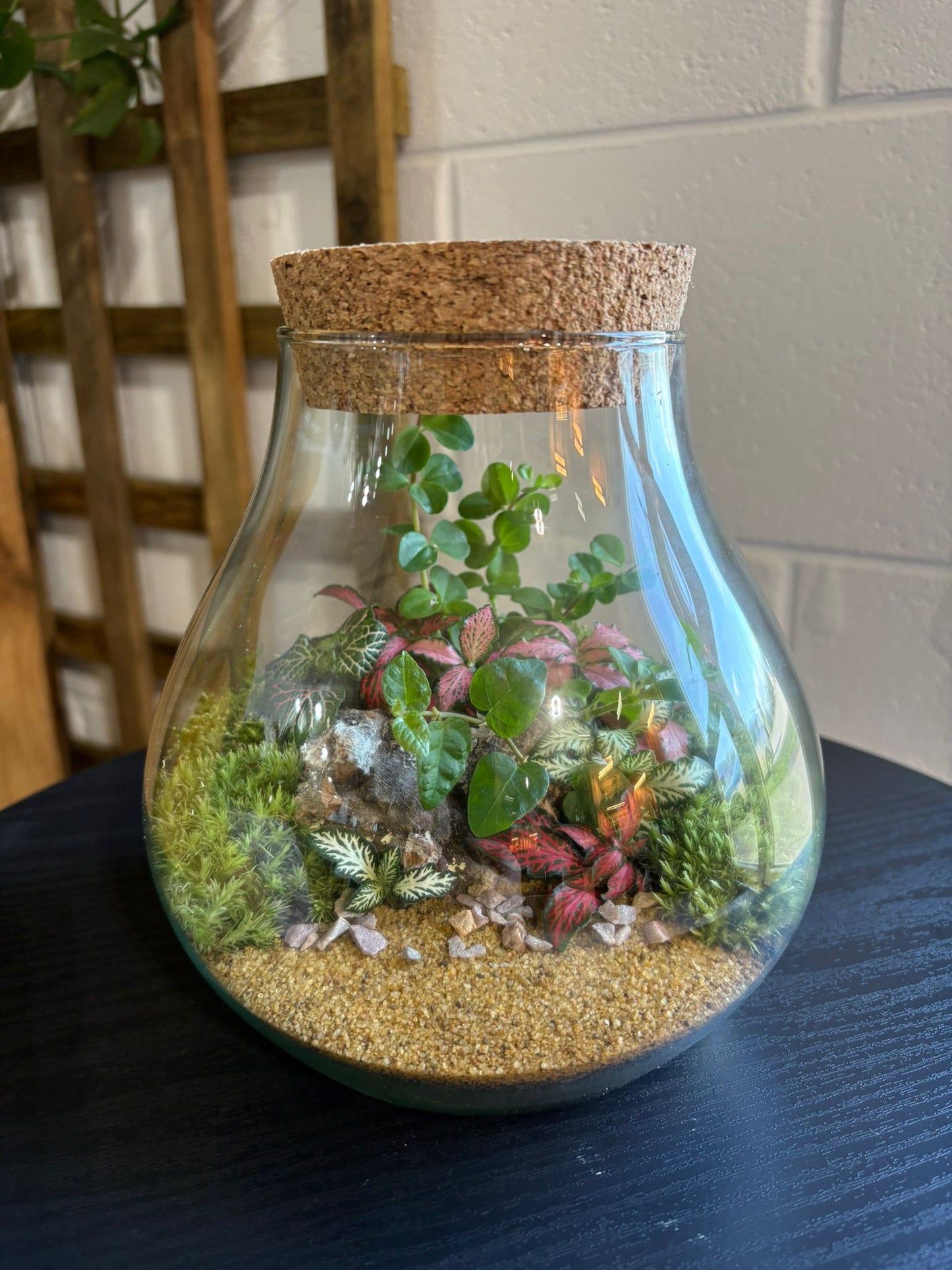 Ready-made Terrarium – Fran Jar
