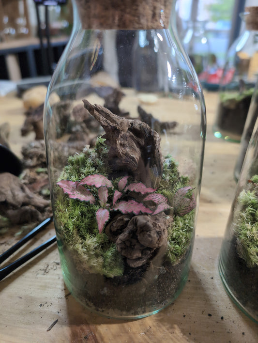 Ready-made Terrarium - 'Pascale'