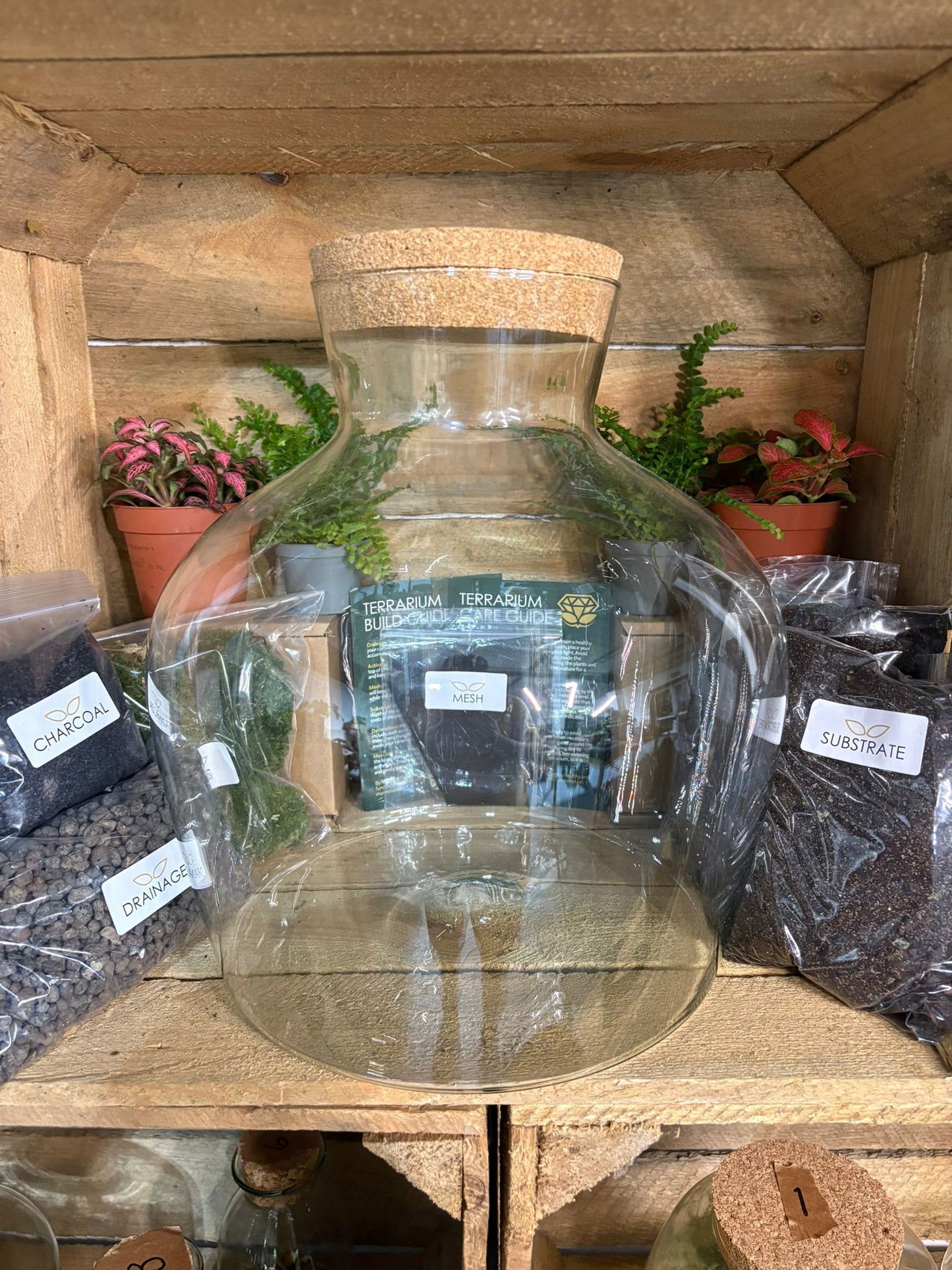 DIY Terrarium Kit - 'Matthew'