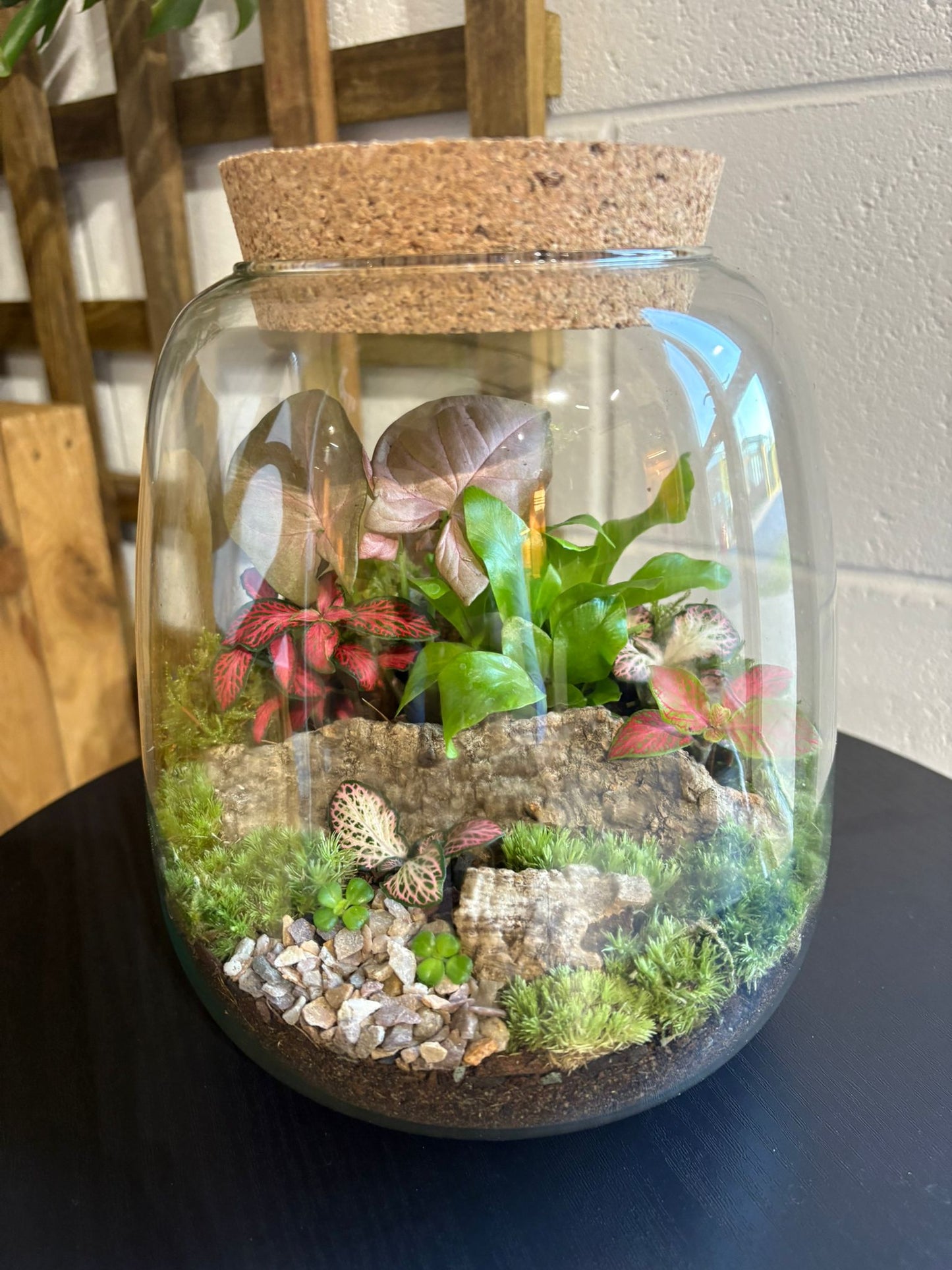 Ready-made Terrarium – Anna Jar
