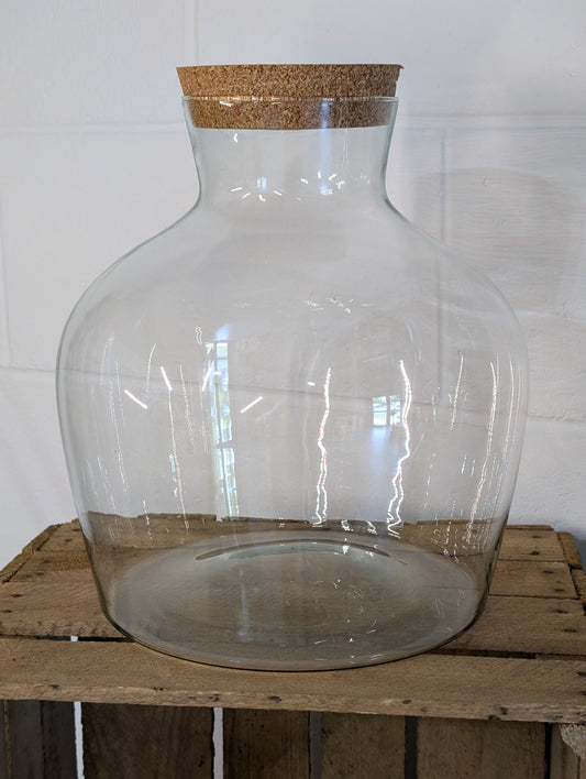 DIY Terrarium Kit - 'Matthew'