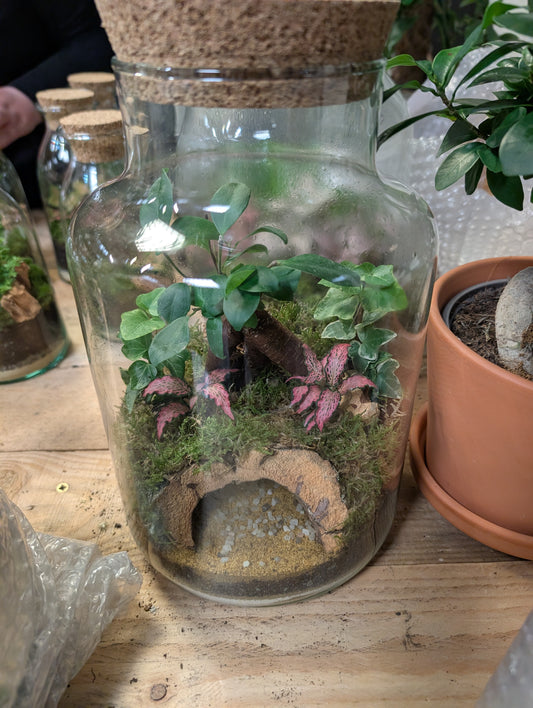 Ready-made Terrarium - 'Lorna'