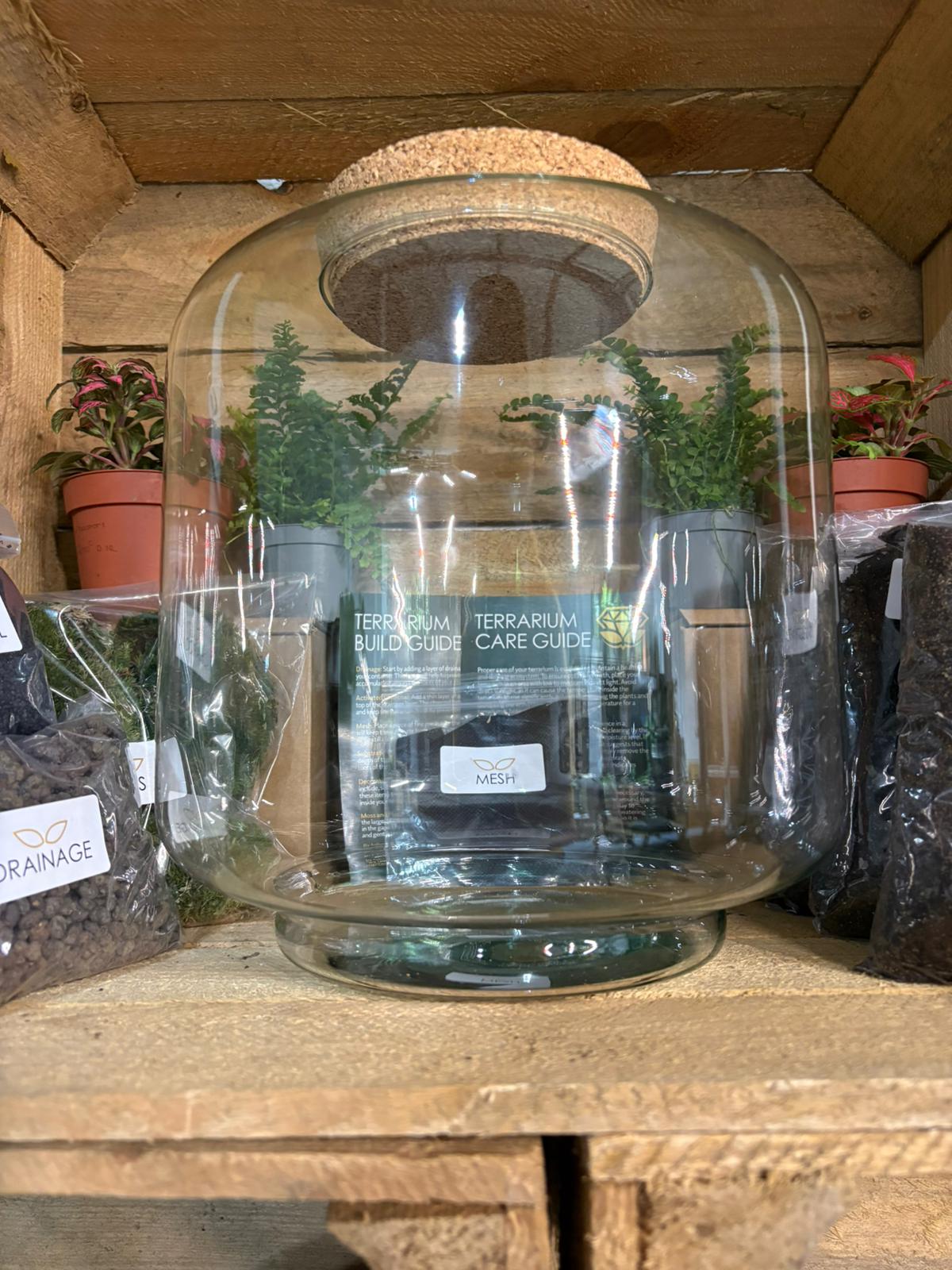 DIY Terrarium Kit - 'Meg'