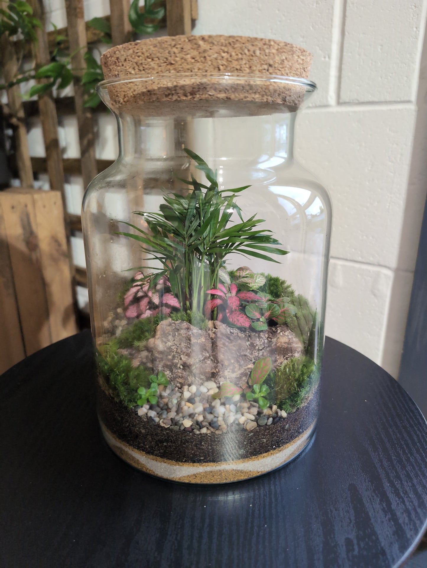 Ready-made Terrarium – Unique Jar