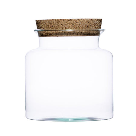 PREORDER - Ready-made Terrarium
