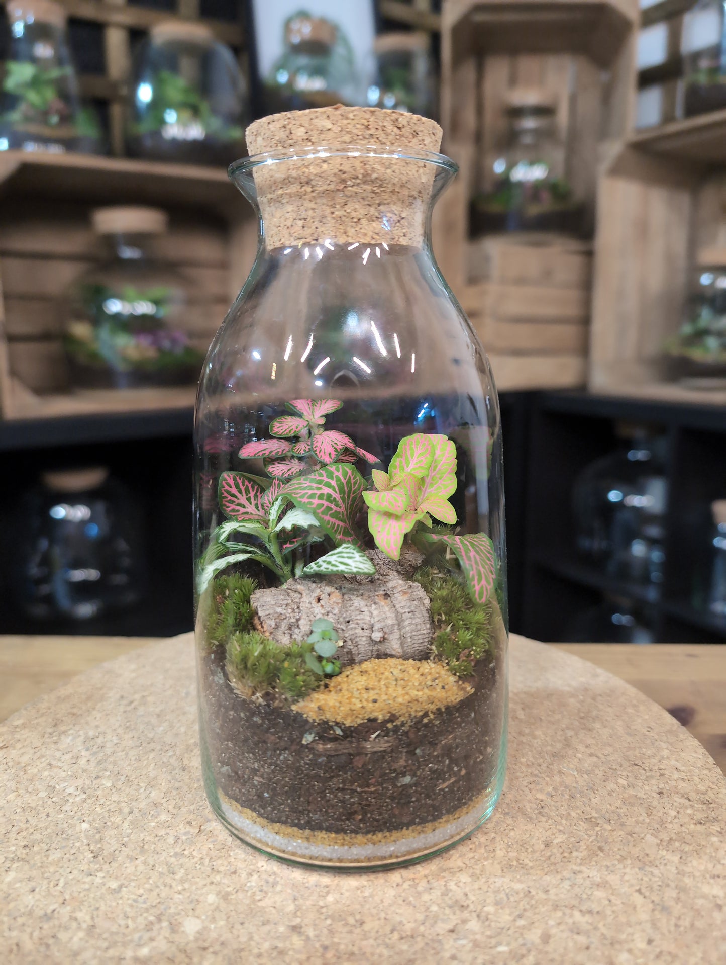 Ready-made Terrarium – Chloe Jar