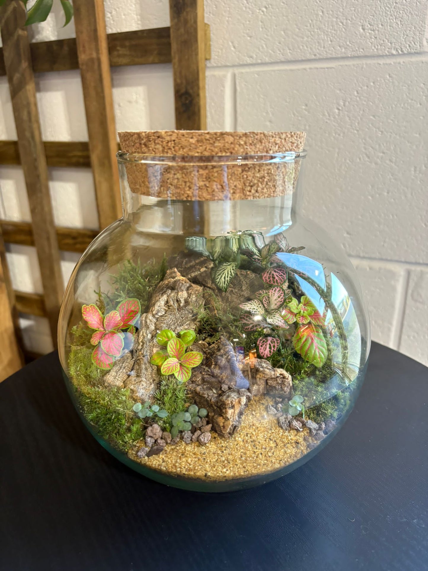 Ready-made Terrarium – George Jar