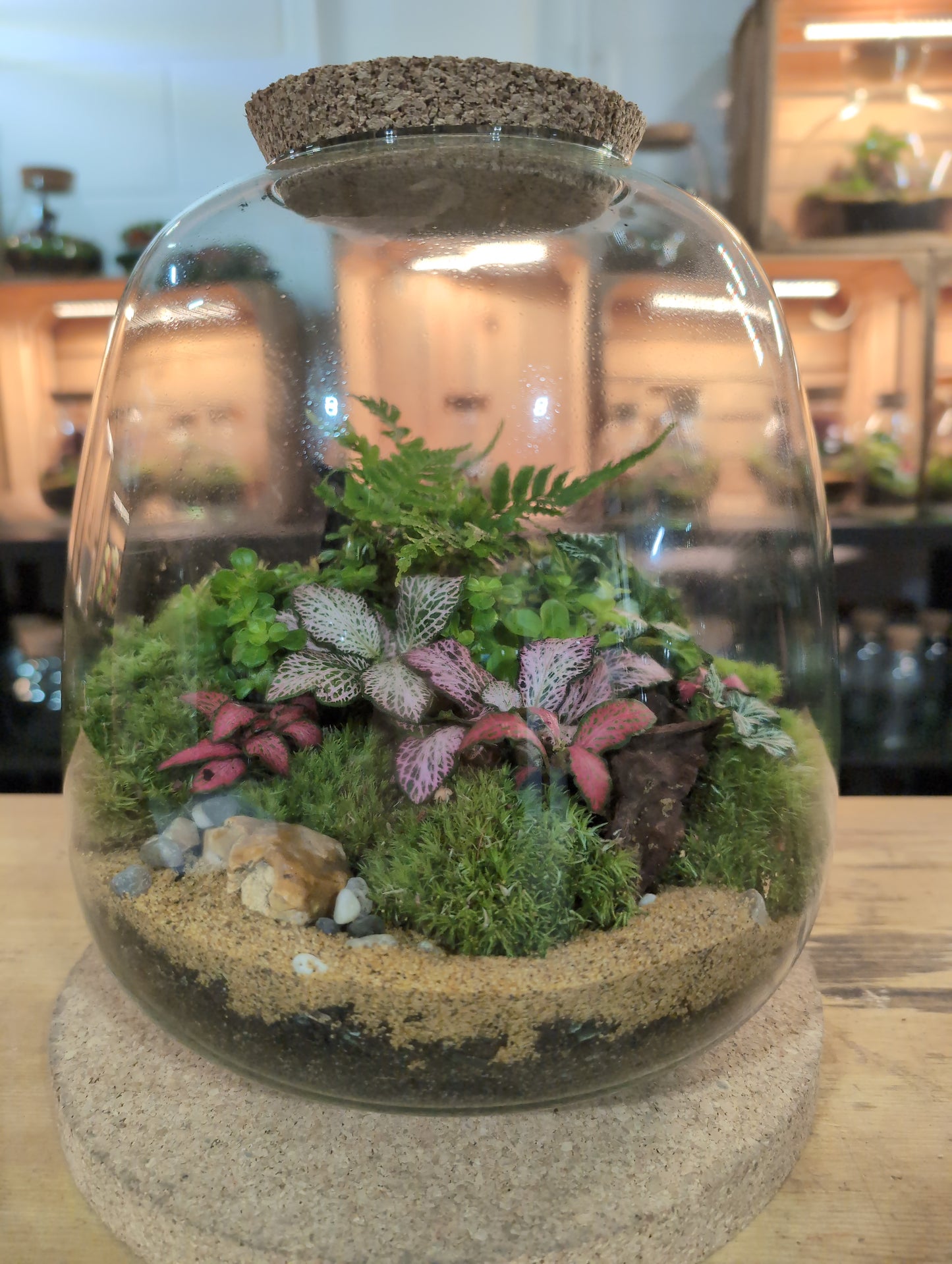 Ready-made Terrarium – Hannah Jar