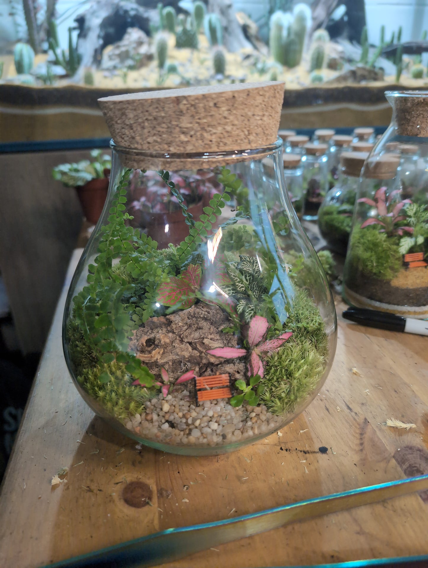 Ready-made Terrarium – Fran Jar