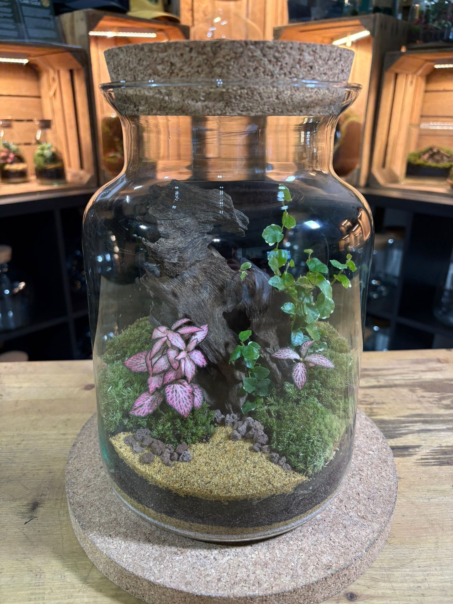 Ready-made Terrarium – Unique Jar