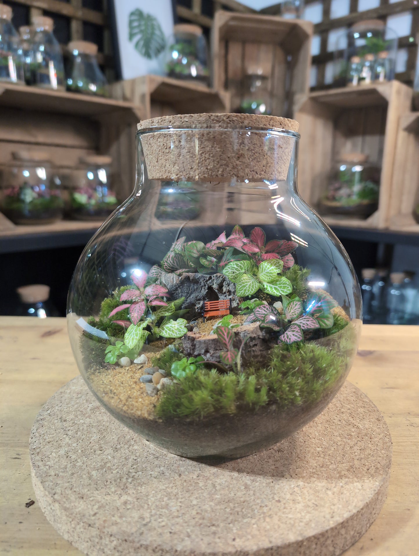 Ready-made Terrarium – George Jar