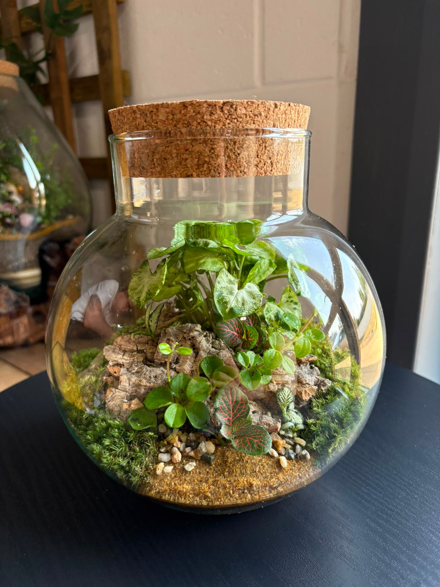 Ready-made Terrarium – George Jar