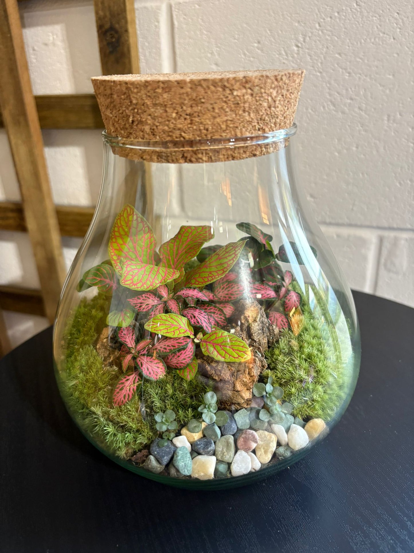 Ready-made Terrarium – Fran Jar