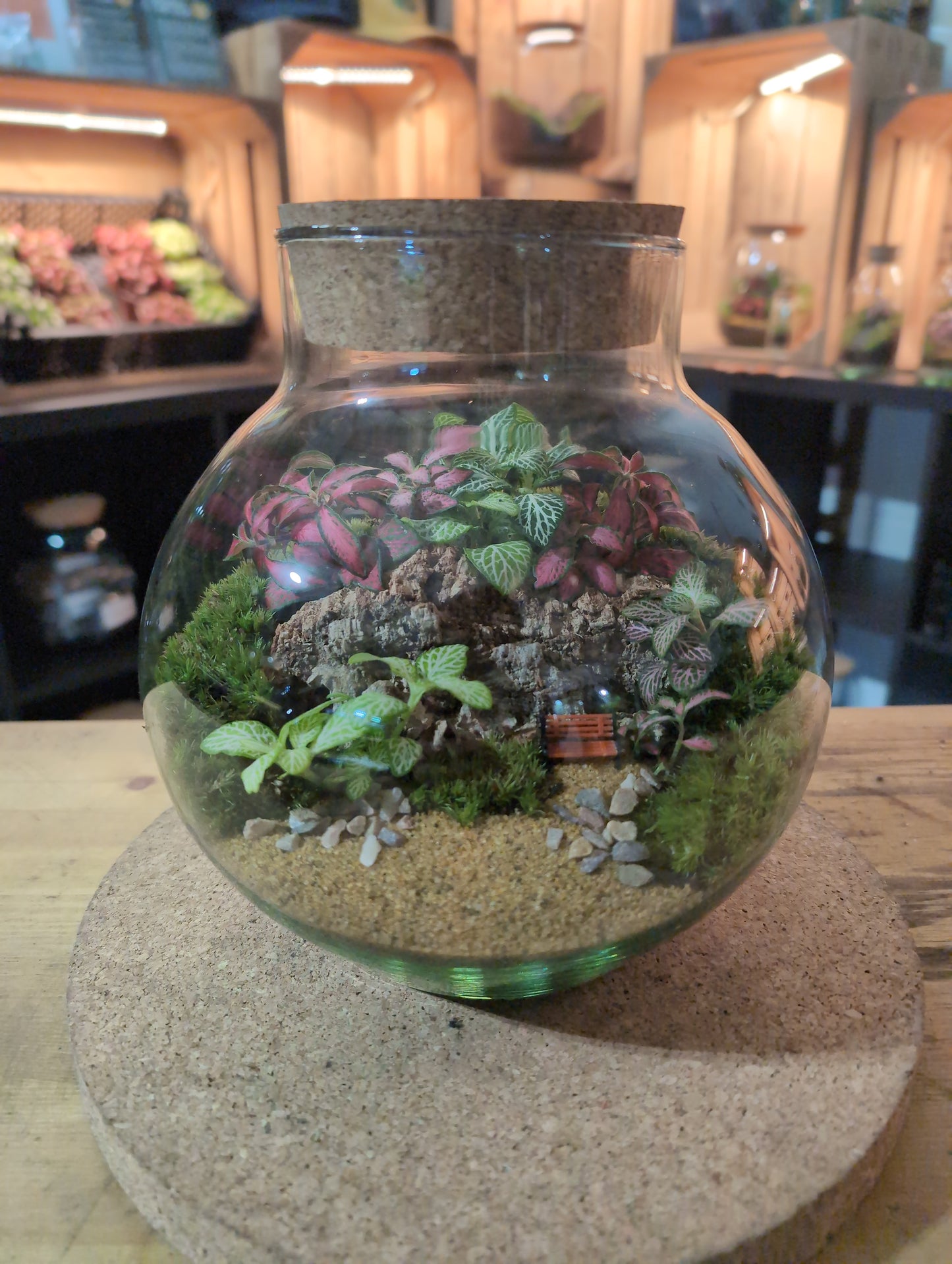 Ready-made Terrarium – George Jar