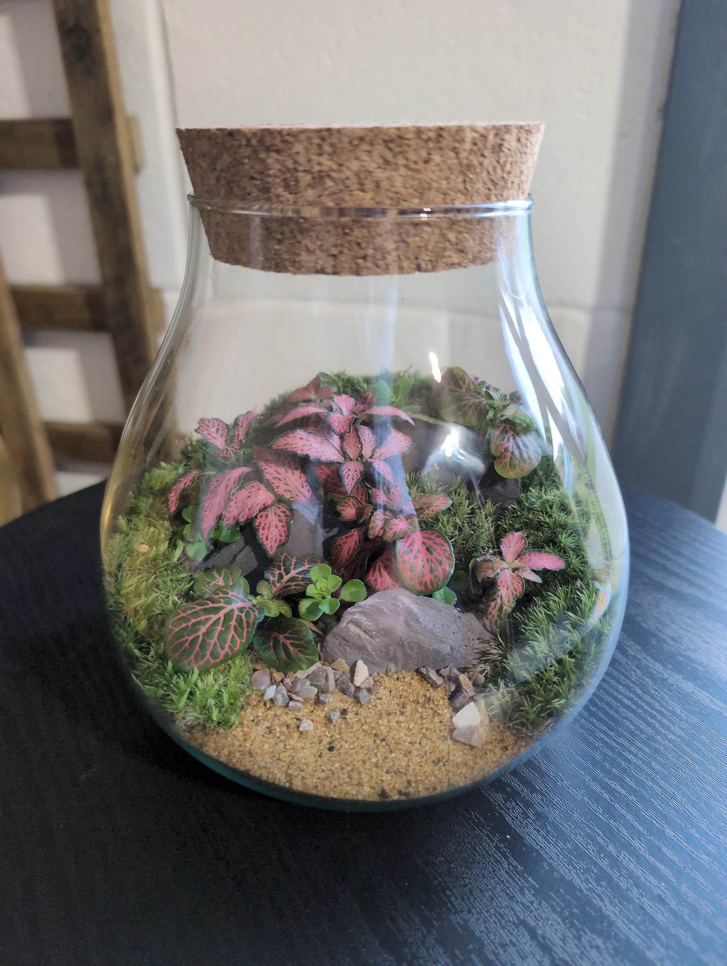 Ready-made Terrarium – Fran Jar